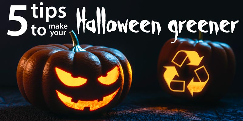 5 tips to make your Halloween greener