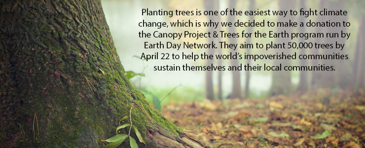 why planting trees can combat climate change