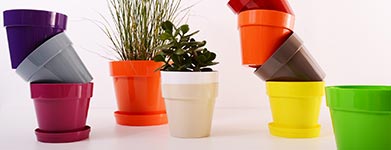Repurposed plastic cups used to make plant pots