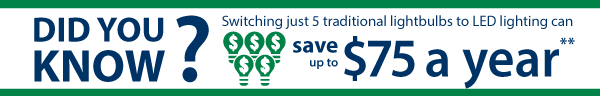 Did you know that switching just 5 traditional lightbulbs to LED lighting can save up to $75 a year?