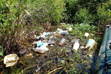 Plastic litter discarded into swamp