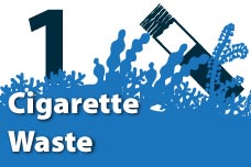 1. Cigarette Waste