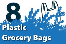 8. Plastic Grocery Bags