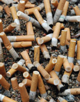 Cigarette butts