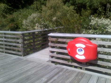 Customized Guardian Life Ring Cabinet at Hoffler Creek Wildlife Reserve