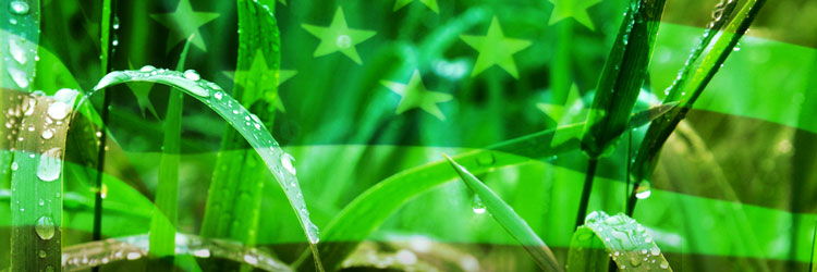 green American Independence Day flag
