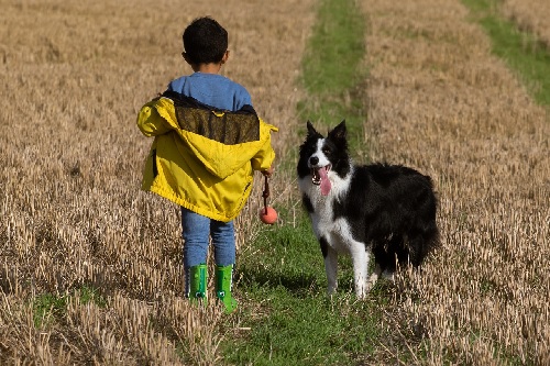 child playing with their pet dog