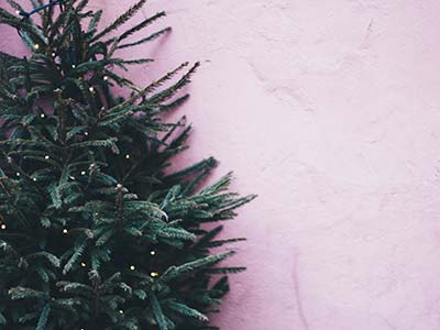 Christmas tree with pink wall backdrop