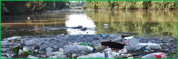 Plastic Pollution on American River