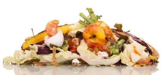 Discarded food waste pile - header image