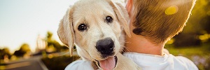 No Harm, No Waste: Lockdown Puppies and Pet Waste.