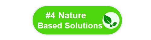 Nature Based Solutions sub-heading graphic