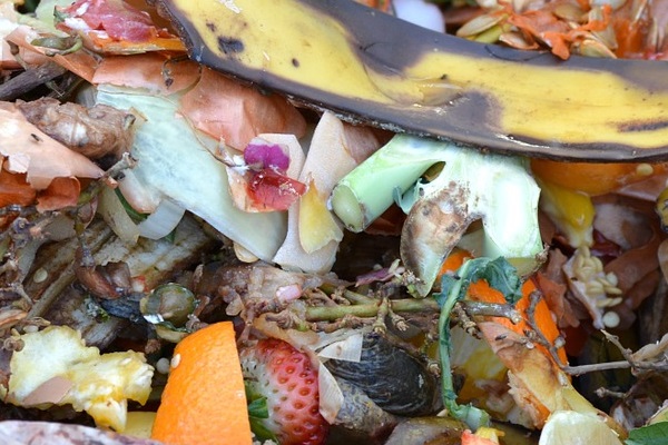 A pile of food waste ready for composting