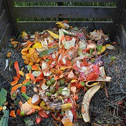 compost food scraps image